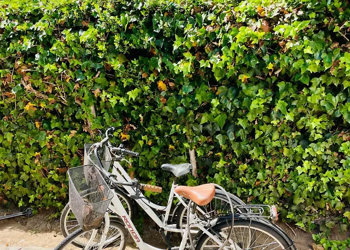 Pensionat Superhosts 3*